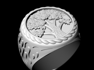 Tree ring for men 3D 프린트 모델