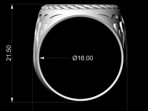 Tree ring for men 3D 프린트 모델