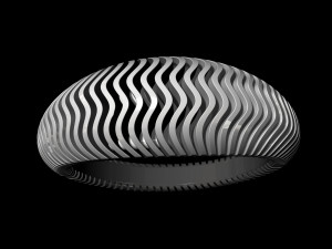 waves ring 3D-Druckmodell