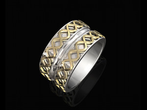 spiral band ring Modello di stampa 3D