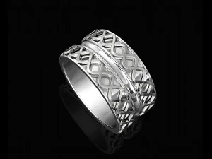 spiral band ring 3D Print Model
