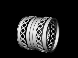 spiral band ring Modello di stampa 3D