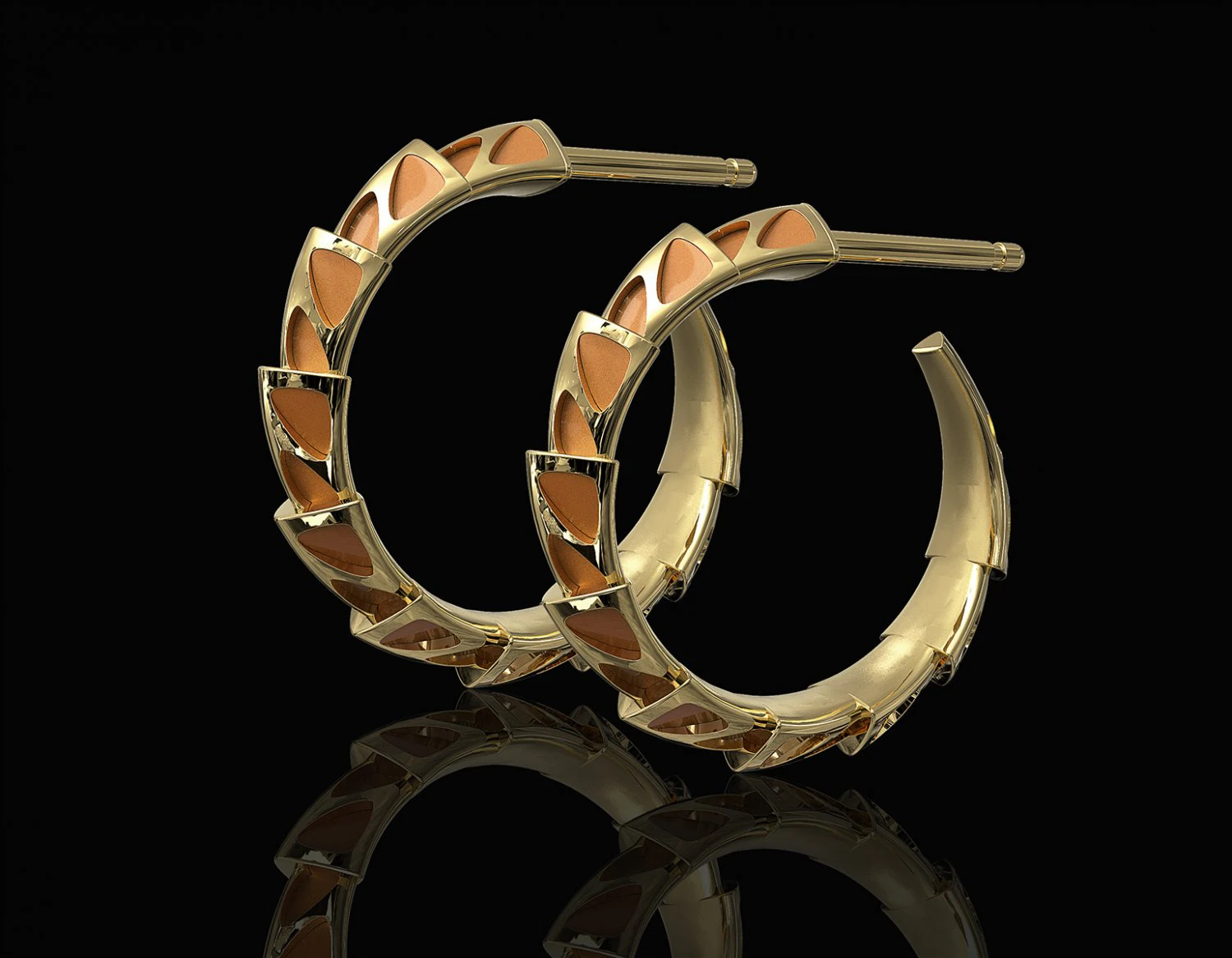 carapace with enamel earrings 3D Print Model .c4d .max .obj .3ds .fbx .stl .blend