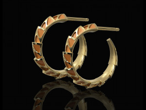 carapace with enamel earrings 3D Print Model