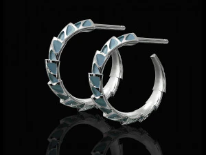 carapace with enamel earrings 3D Print Model