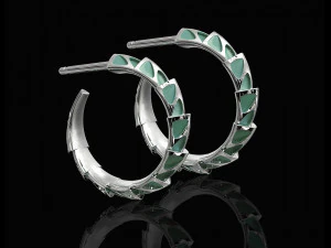 carapace with enamel earrings 3D Print Model