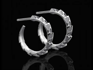 carapace with enamel earrings 3D Print Model