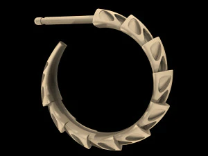 carapace with enamel earrings 3D Print Model
