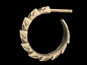 carapace with enamel earrings 3D Print Model