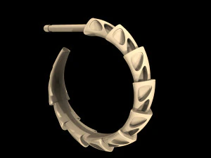 carapace with enamel earrings 3D Print Model