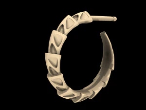 carapace with enamel earrings 3D Print Model