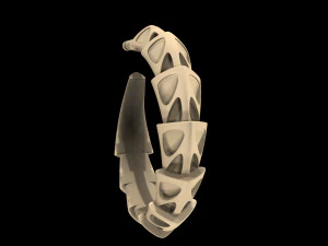 carapace with enamel earrings 3D Print Model