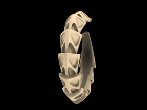 carapace with enamel earrings 3D Print Model