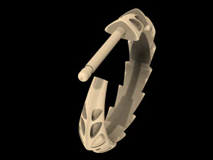 carapace with enamel earrings 3D Print Model