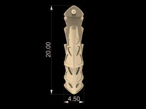 carapace with enamel earrings 3D Print Model