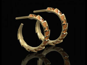 carapace with enamel earrings 3D Print Model