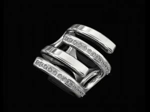 кільце гілок 3D Принт Модель