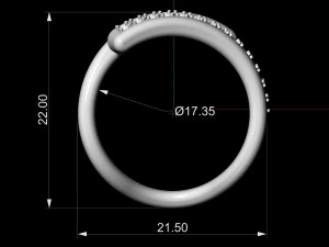 кільце гілок 3D Принт Модель