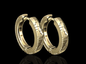 enamel hoop earrings 3D Print Model