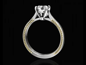 solitaire ring with filigree 3D Print Model
