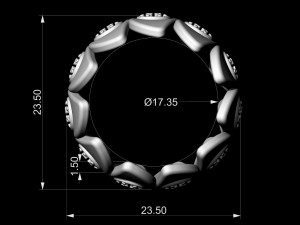 micro inspiring ring 3D प्रिंट मॉडल