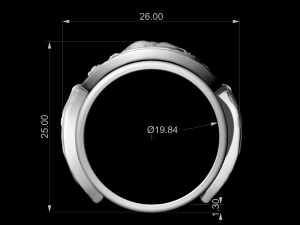 targaryen ring-game of thrones 3D Druckmodell