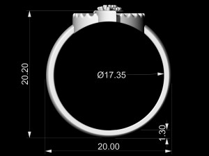 polygonal circle earrings and ring 3D 프린트 모델