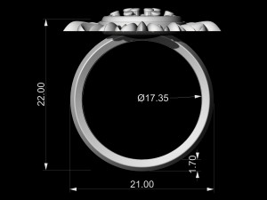sun ring 3D 打印模型