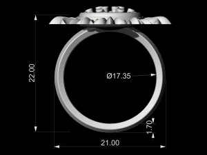 sun ring 3D Print Model