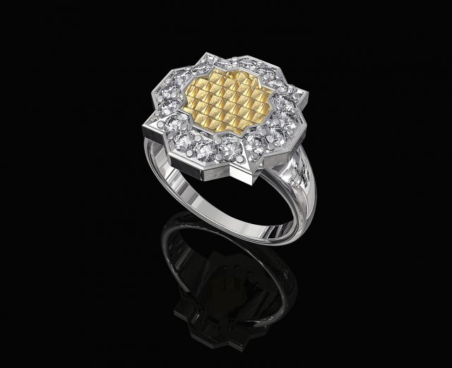 fancy ring with texture 3D 프린트 모델 .c4d .max .obj .3ds .fbx .stl .blend 