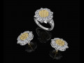 fancy earrings and ring with texture 3D 프린트 모델