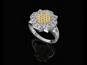 fancy earrings and ring with texture 3D Print Model