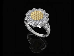 fancy earrings and ring with texture 3D Print Model