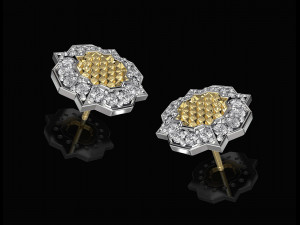 fancy earrings and ring with texture 3D Print Model