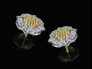 fancy earrings and ring with texture 3D Print Model