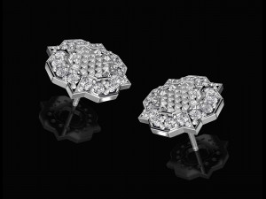 fancy earrings and ring with texture 3D Print Model