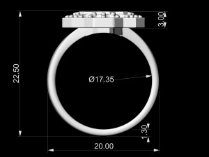 fancy earrings and ring with texture 3D Print Model