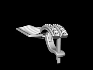parametric earrings 3D Print Model