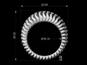 waves ring with thick walls 3D प्रिंट मॉडल