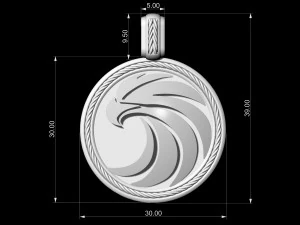 ciondolo rotondo con aquila Modello di stampa 3D