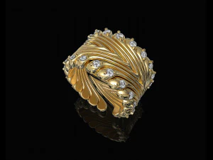 валове кільце 3D Принт Модель