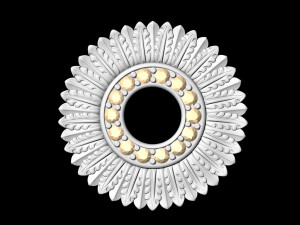circle of feathers pendant 3D Принт Модель