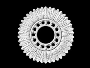 circle of feathers pendant 3D Принт Модель