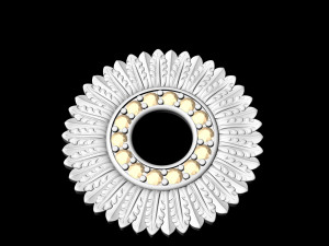circle of feathers pendant 3D Принт Модель
