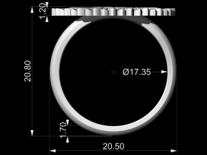circle of feathers ring 3Dプリントモデル