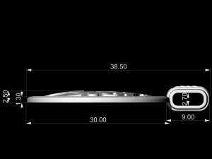 lion-logo pendant 3D Print Model