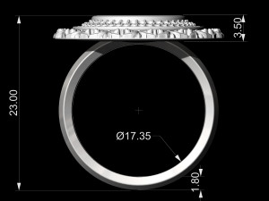 oriental cabochon ring 3D 打印模型