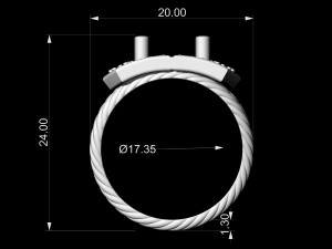 brilliant braid ring Modelo de Impressão 3D