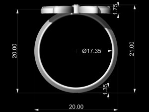 brilliant fantasy ring 3D Baskı Modeli