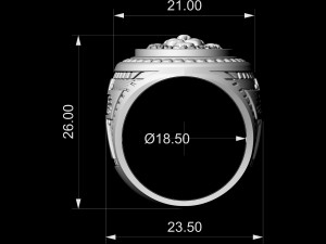 lion ring with diamond Modelo de Impressão 3D